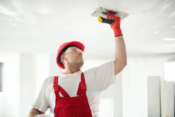 Waverly, IA Drywall & Painting Services Company